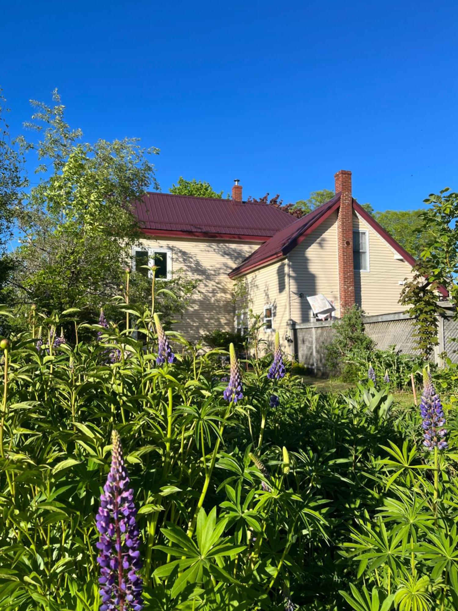 B&B Art Of Germany Caledonia Экстерьер фото