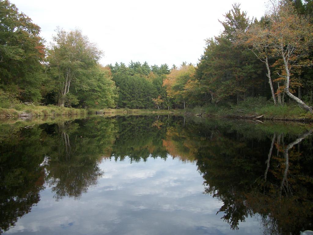 B&B Art Of Germany Caledonia Экстерьер фото